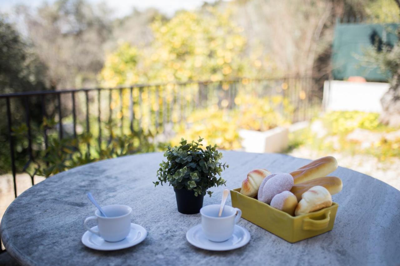 Vinaigrier Hills Vi3086 By Riviera Holiday Homes Nice Buitenkant foto